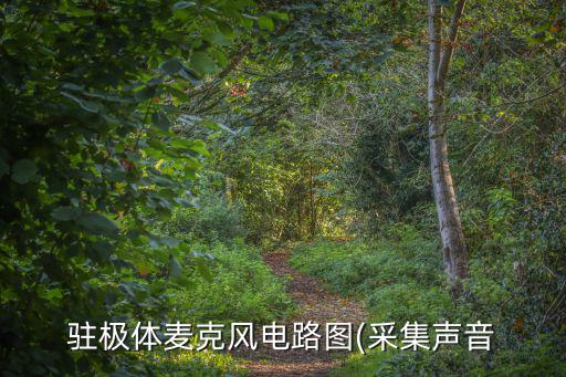 駐極體麥克風(fēng)電路圖(采集聲音