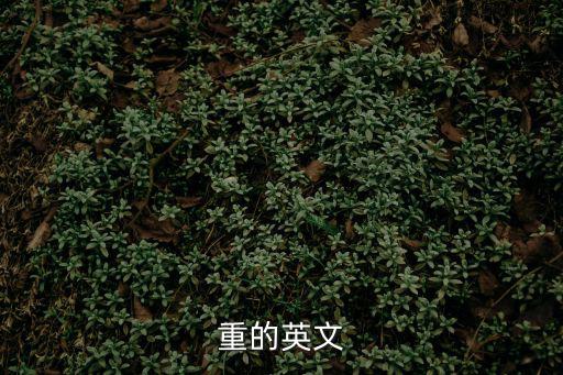重的英文