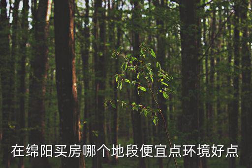 在綿陽買房哪個(gè)地段便宜點(diǎn)環(huán)境好點(diǎn)