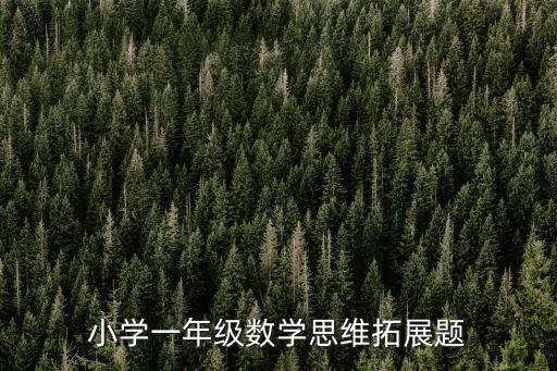 小學一年級數(shù)學思維拓展題