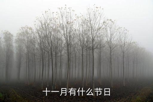 十一月有什么節日