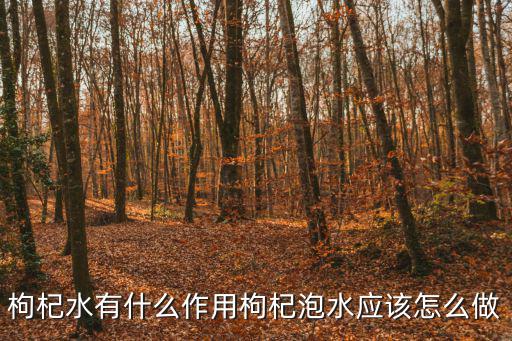 枸杞水有什么作用枸杞泡水應(yīng)該怎么做