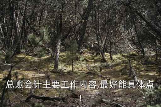 總賬會計主要工作內(nèi)容,最好能具體點!