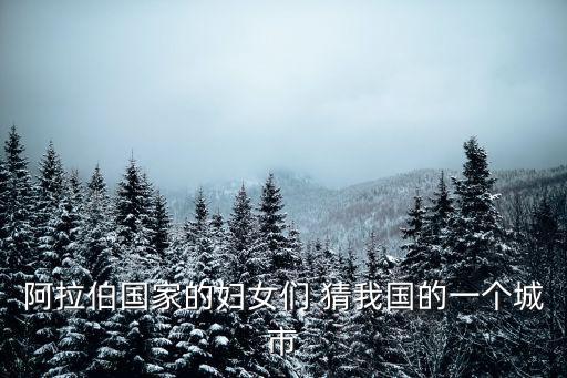 阿拉伯國(guó)家的婦女們 猜我國(guó)的一個(gè)城市