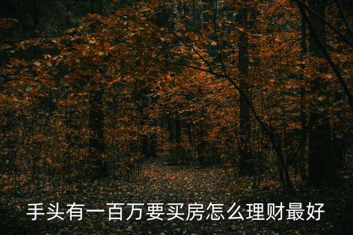 手頭有一百萬(wàn)要買房怎么理財(cái)最好