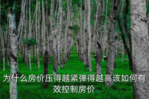 為什么房?jī)r(jià)壓得越緊彈得越高該如何有效控制房?jī)r(jià)