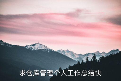 求倉庫管理個人工作總結(jié)快