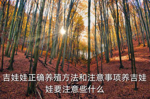吉娃娃正確養殖方法和注意事項養吉娃娃要注意些什么