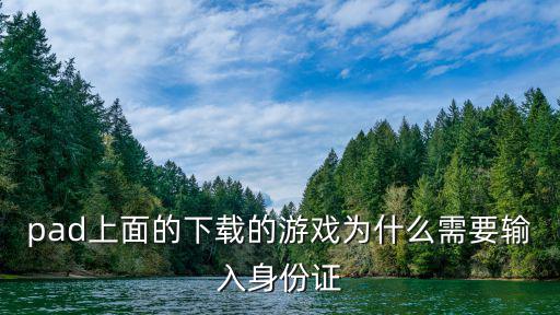 pad游戲,ipad怎么玩?別慌!