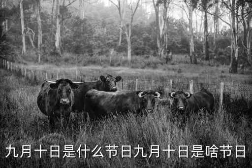 九月十日是什么節(jié)日九月十日是啥節(jié)日