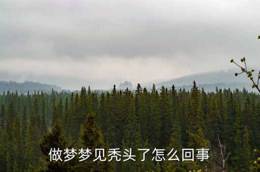 夢見禿頭,女人夢見自己禿頭了怎么回事?