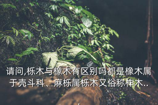請問,櫟木與橡木有區(qū)別嗎都是橡木屬于殼斗科、麻櫟屬櫟木又俗稱柞木...