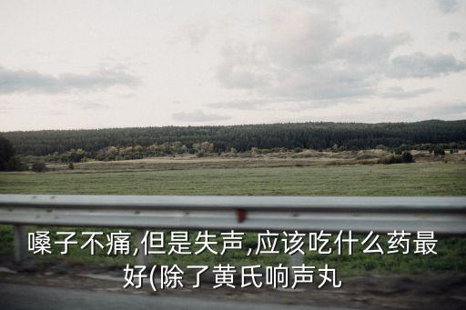 嗓子不痛,但是失聲,應該吃什么藥最好(除了黃氏響聲丸