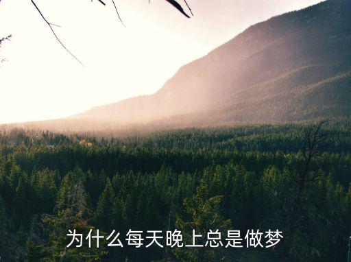 為什么每天晚上總是做夢