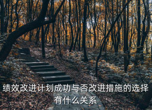 績效改進計劃，績效改進計劃成功與否改進措施的選擇有什么關系