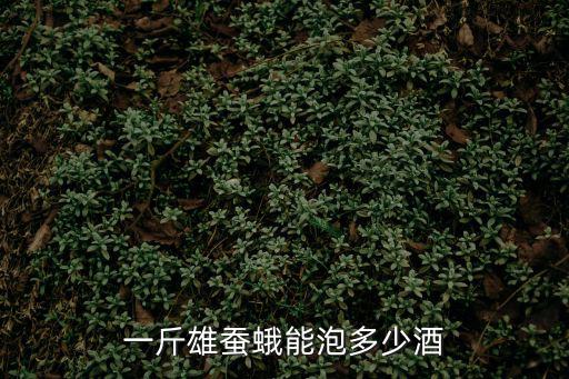 一斤雄蠶蛾能泡多少酒