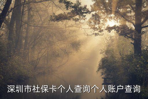 深圳市社保卡個人查詢個人賬戶查詢