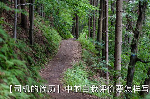 司機簡歷,注意事項有哪些?一定要注意!