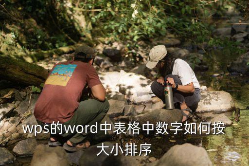 wps的word中表格中數(shù)字如何按大小排序