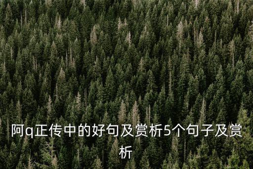阿q正傳中的好句及賞析5個句子及賞析