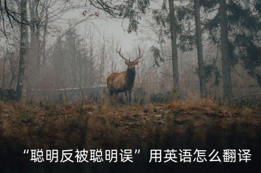 cleverness,如何用英語聰明反被聰明誤反思與啟迪