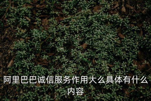 阿里巴巴誠信服務作用大么具體有什么內容
