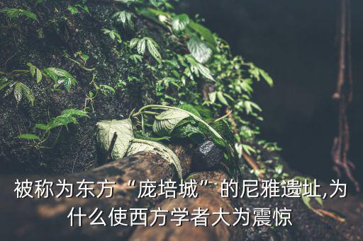 被稱為東方“龐培城”的尼雅遺址,為什么使西方學(xué)者大為震驚