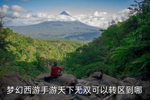 夢幻手游轉區,夢幻西游手游天下無雙可以轉區到哪?