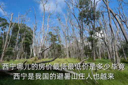 西寧哪兒的房價最低最低價是多少畢竟西寧是我國的避暑山莊人也越來