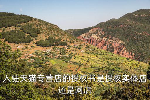 品牌授權書模板,下載獨占授權書需注意什么?
