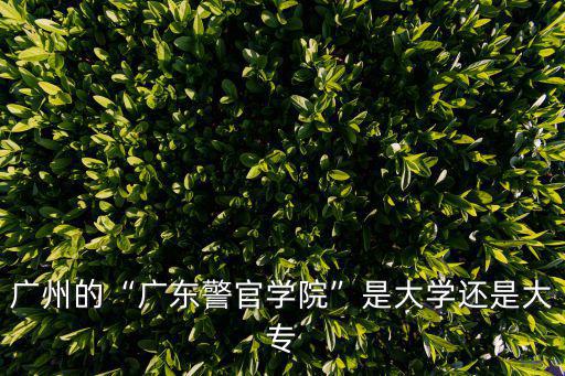 廣州的“廣東警官學院”是大學還是大專
