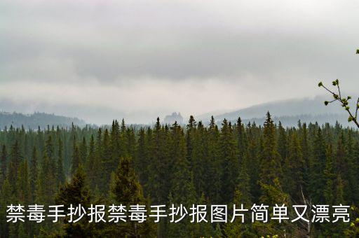 禁毒手抄報(bào)禁毒手抄報(bào)圖片簡(jiǎn)單又漂亮