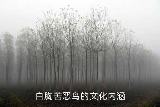 白胸苦惡鳥的文化內(nèi)涵
