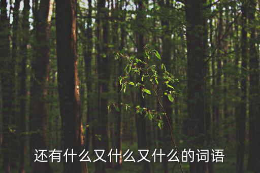 還有什么又什么又什么的詞語(yǔ)