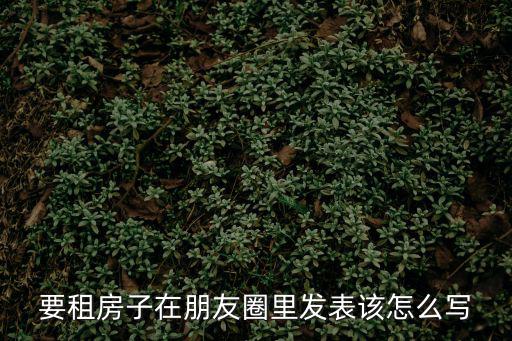 要租房子在朋友圈里發表該怎么寫