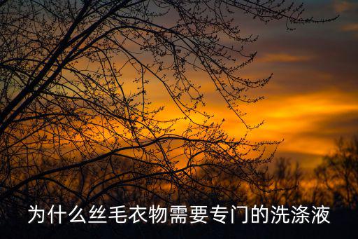 為什么絲毛衣物需要專門的洗滌液