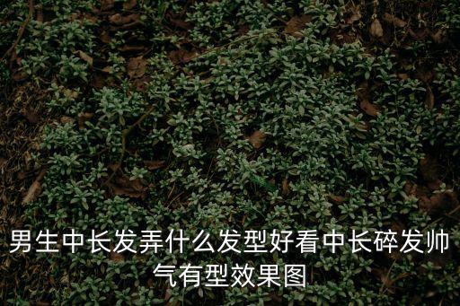男生中長(zhǎng)發(fā)弄什么發(fā)型好看中長(zhǎng)碎發(fā)帥氣有型效果圖