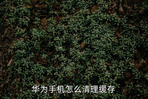 華為手機怎么清理緩存