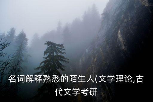 文學理論名詞解釋,文學的補償功能可從讀者和作者兩方面理解