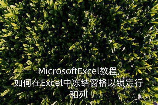 MicrosoftExcel教程,如何在Excel中凍結窗格以鎖定行和列