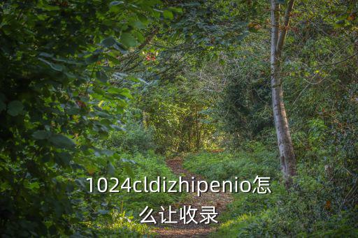 1024cldizhipenio怎么讓收錄