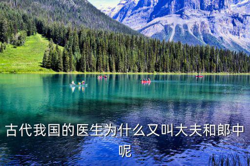 古代醫(yī)生叫什么,古代醫(yī)生的稱呼有何不同?梧桐雨為你解答
