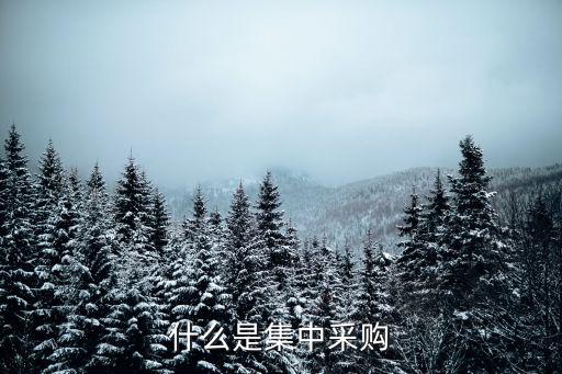 部門集中采購,政府采購中的部門集中采購含義是什么?