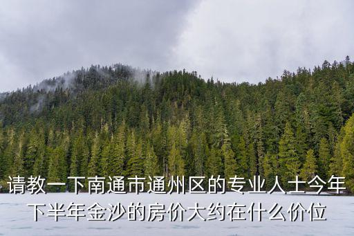 請教一下南通市通州區的專業人士今年下半年金沙的房價大約在什么價位