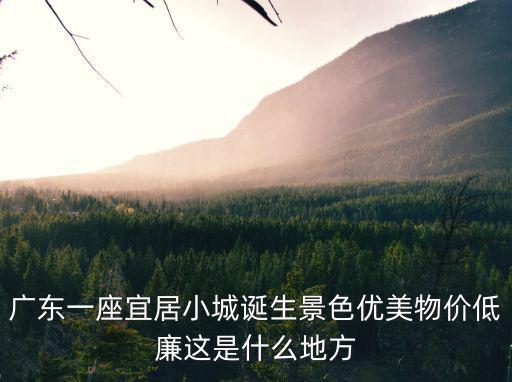 陽江哪個縣房價最低，陽江市陽西月亮灣碧桂園均價多少