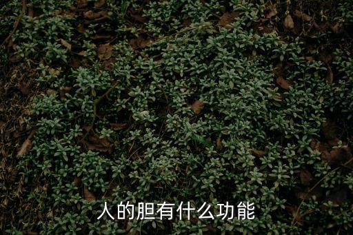 靈蘭秘典論,我國膽囊有什么功能?