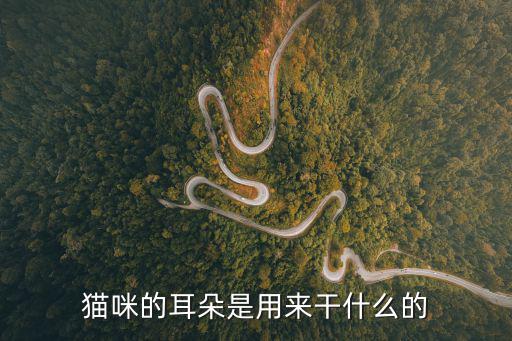 貓咪的耳朵是用來干什么的