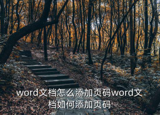 word文檔怎么添加頁碼word文檔如何添加頁碼