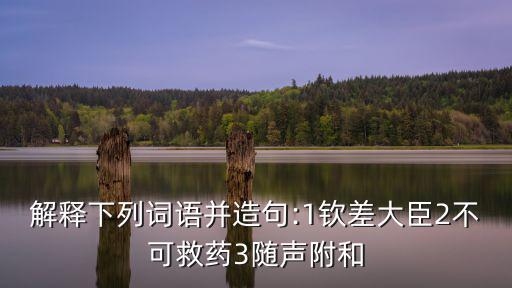 解釋下列詞語并造句:1欽差大臣2不可救藥3隨聲附和