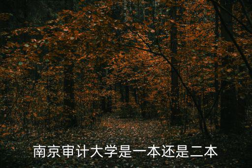 南京審計(jì)大學(xué)是一本還是二本